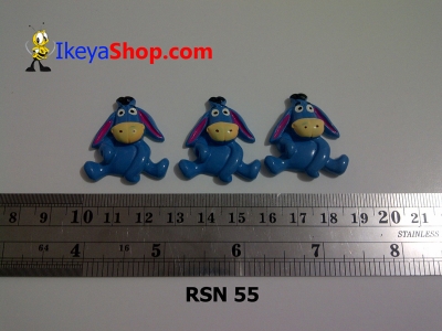 rsn 55  large2